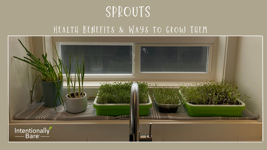 Motivational Monday: SPROUTS – Health Benefits & Ways to Grow Them