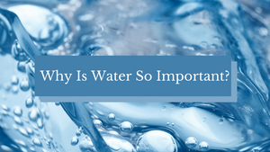 why is water so important 
