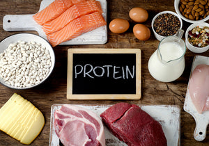 Why Protein is so Important?