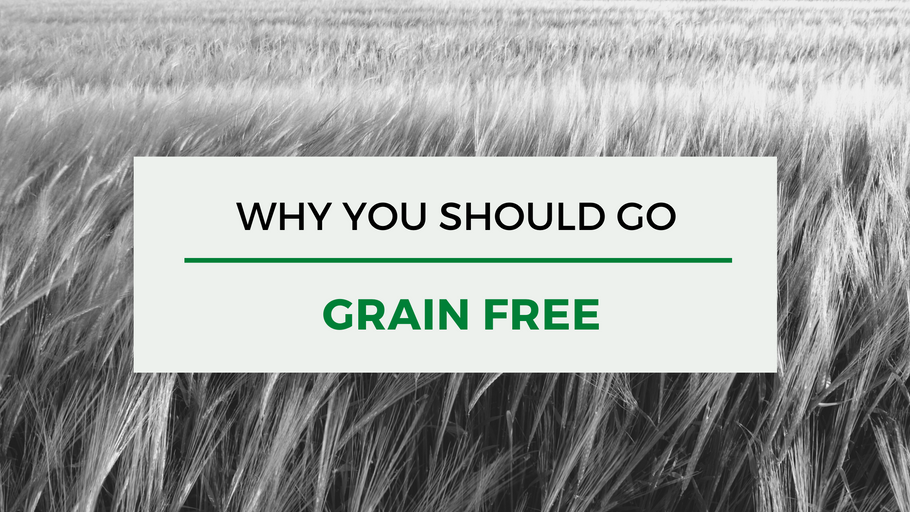 Why You Should Go Grain Free